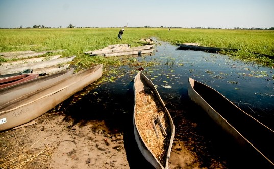 Afbeeldingen van Landscape in Okavango