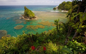 Bild på Fabulous reef view in dominica
