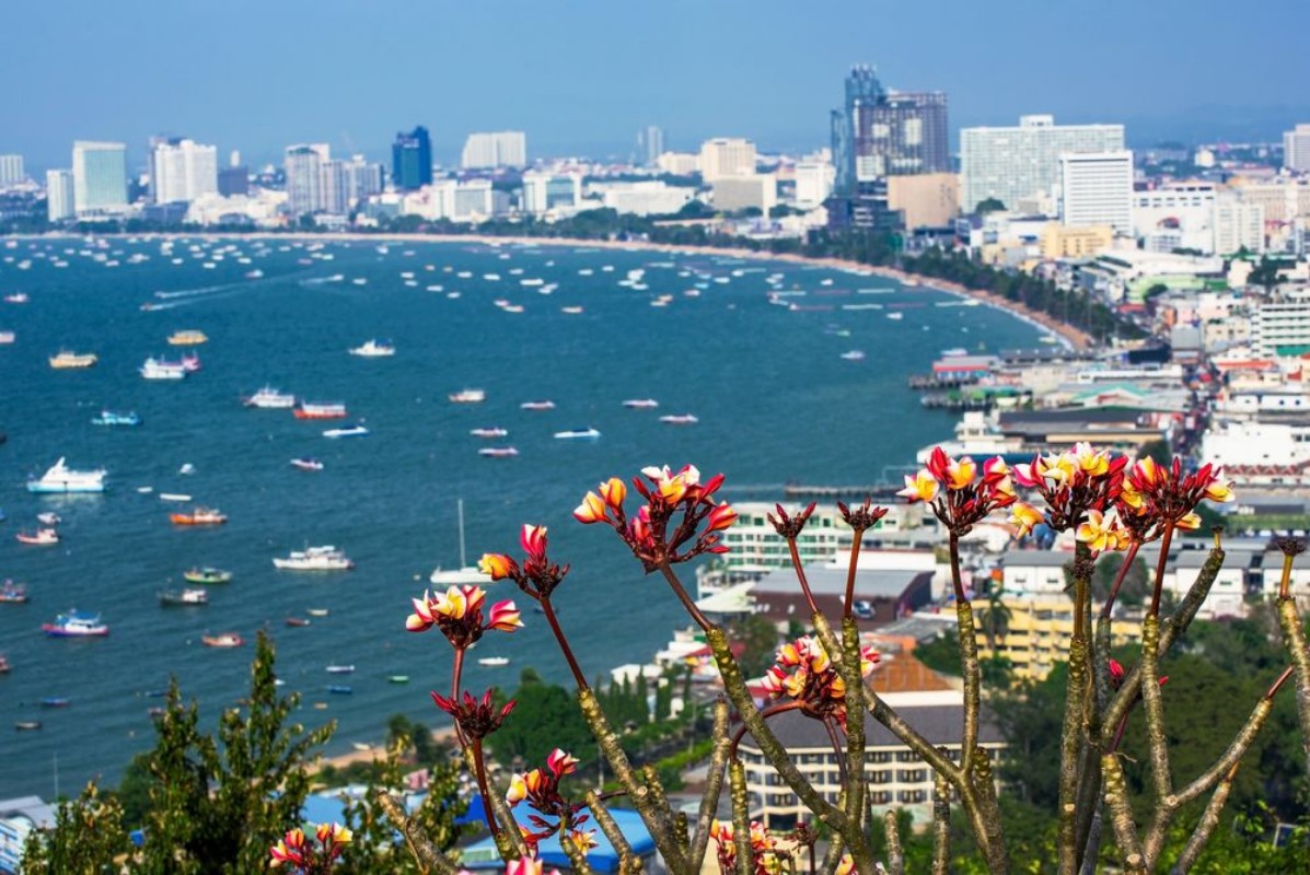 Picture of Flowers with out of focus view of Pattaya