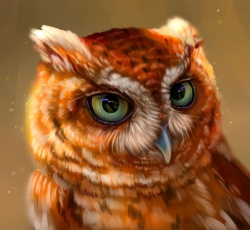 Picture of 138973587