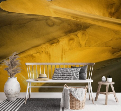 Image de Gula sanddyner i Namibia