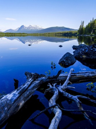 Picture of Storfjllet National Park Sweden Norrland Lapland