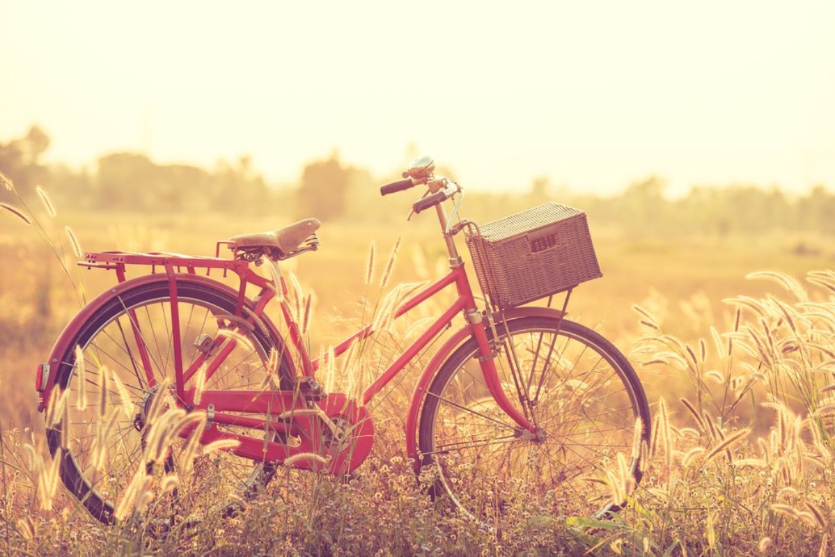 Picture of Beautiful landscape image with Bicycle at summer grass fieldclassic bicycleold bicycle style for greeting Cards post card