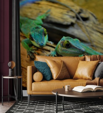 Afbeeldingen van Jaszczurki