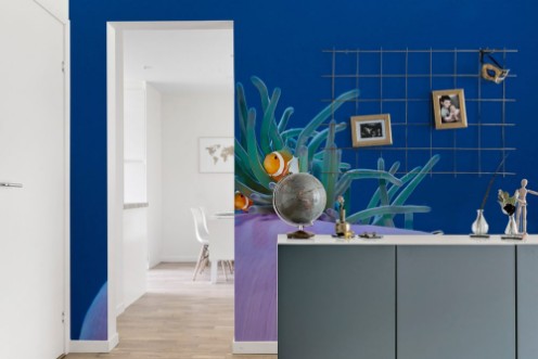 Afbeeldingen van Colorful Clownfishes