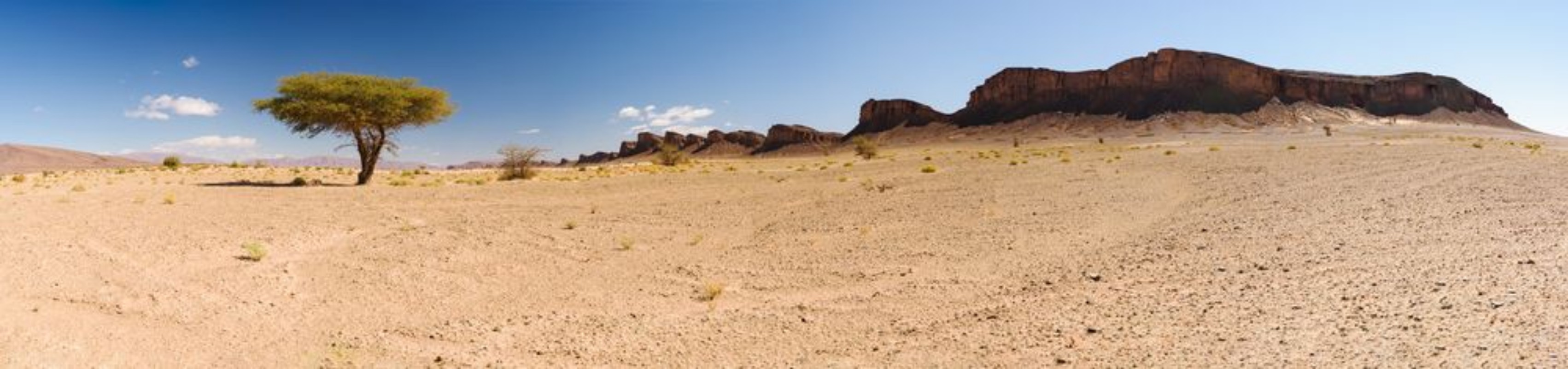 Picture of Moroccan Panoramic Desert
