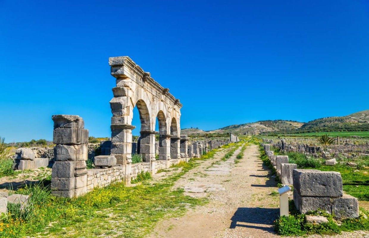 Picture of Decumanus Maximus the main street of Volubilis an ancient Roman town in Morocco