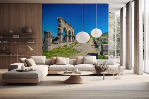 Afbeeldingen van Decumanus Maximus the main street of Volubilis an ancient Roman town in Morocco