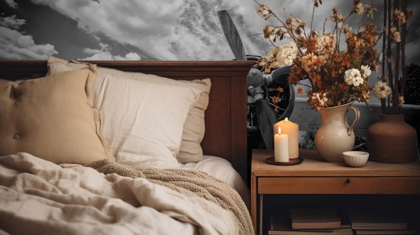 Image de Old airplane on field in black and white