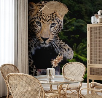 Afbeeldingen van Leopard in nature