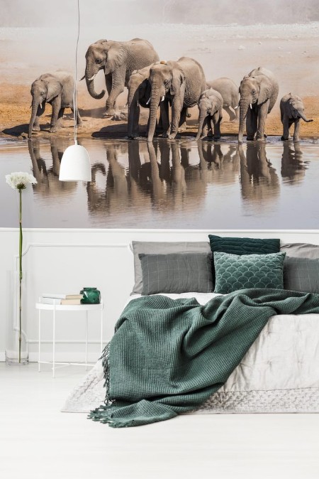 Afbeeldingen van Family of African elephants drinking at a waterhole in Etosha national park Namibia Africa