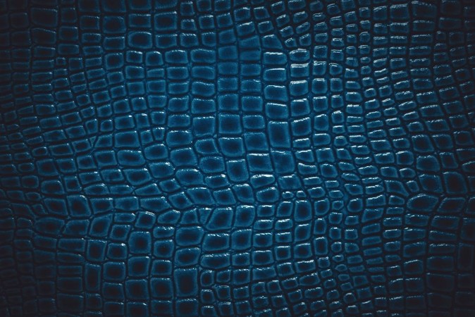 Image de Crocodile leather texture background Macro shot Stock image