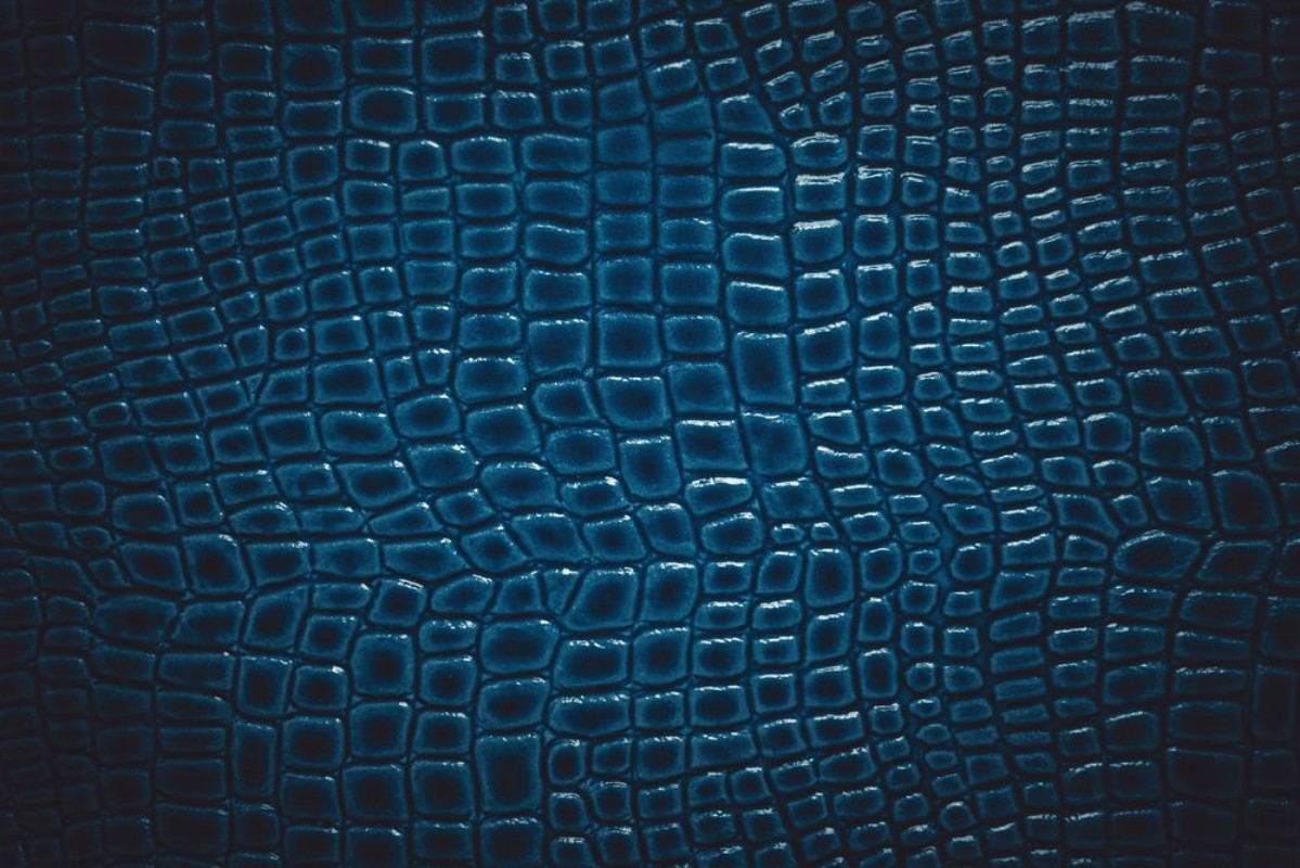 Picture of Crocodile leather texture background Macro shot Stock image