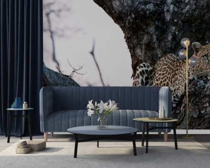 Afbeeldingen van Leopard