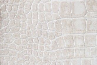 Afbeeldingen van Fashion cream scales macro exotic background embossed under the skin of a reptile crocodile Texture genuine leather close-up light tones trend