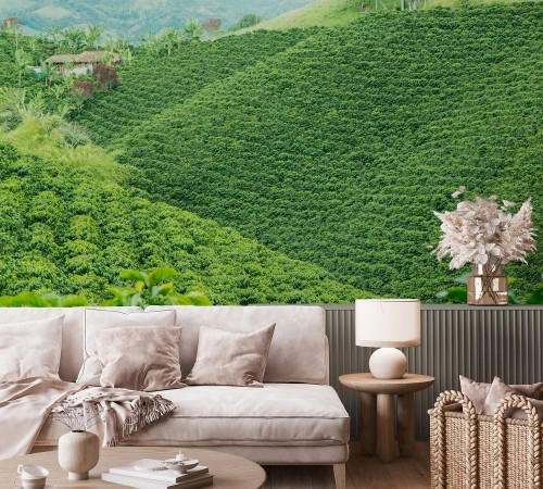 Afbeeldingen van Coffee Plantation