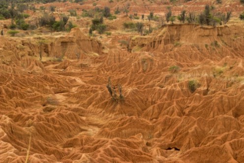 Afbeeldingen van Tatacoa