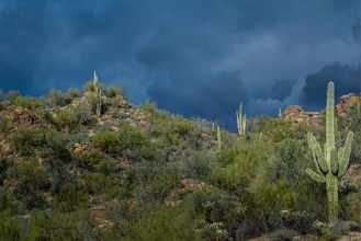 Bild vun Before the Storm