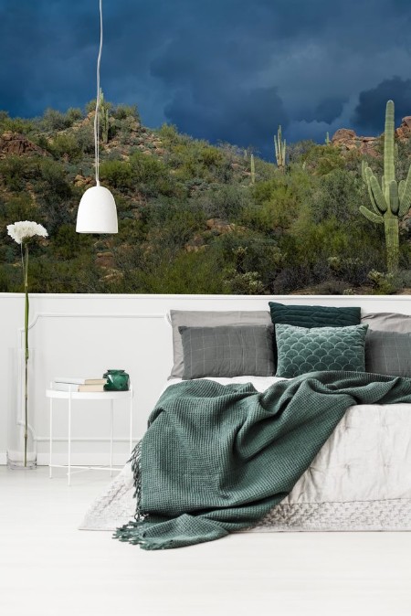 Bild på Before the Storm