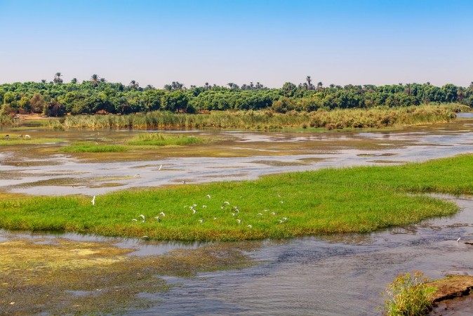 Bild på Nile river Egyptian Nile