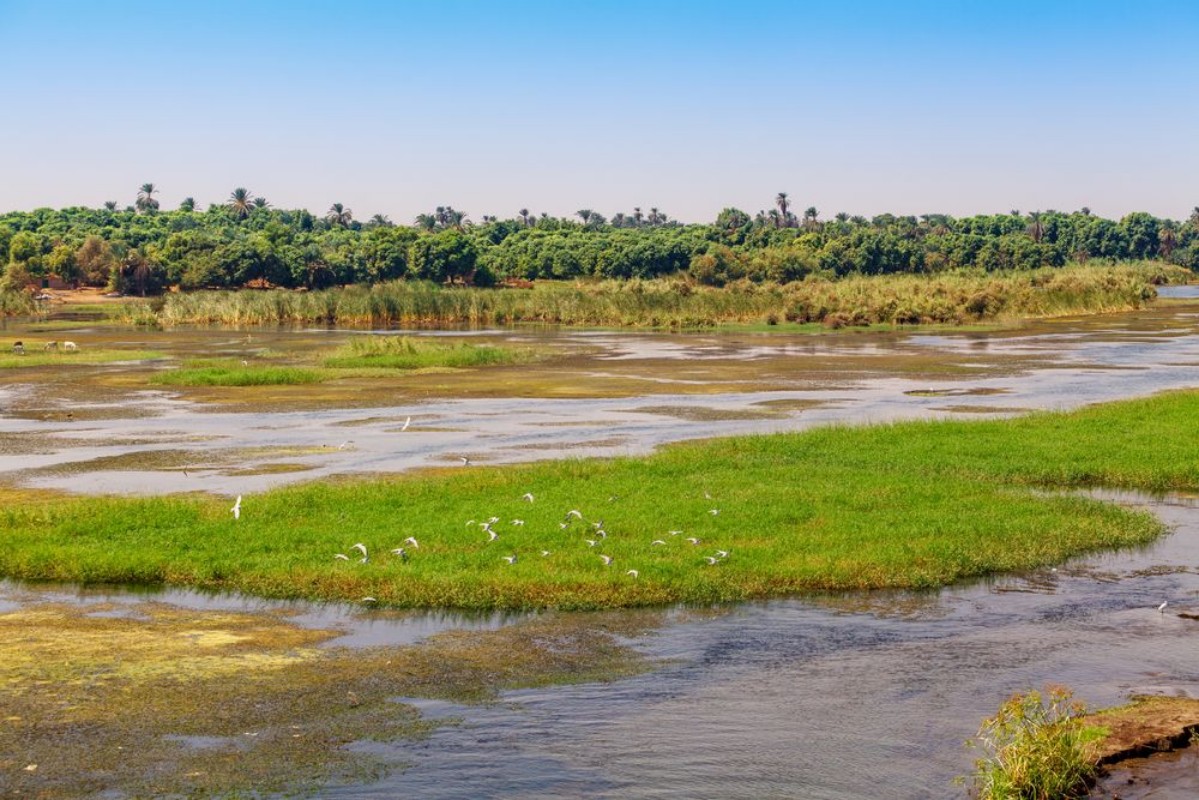 Picture of Nile river Egyptian Nile
