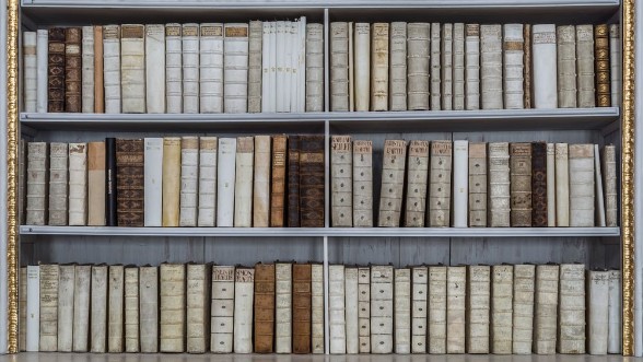 Picture of Das Buchregal