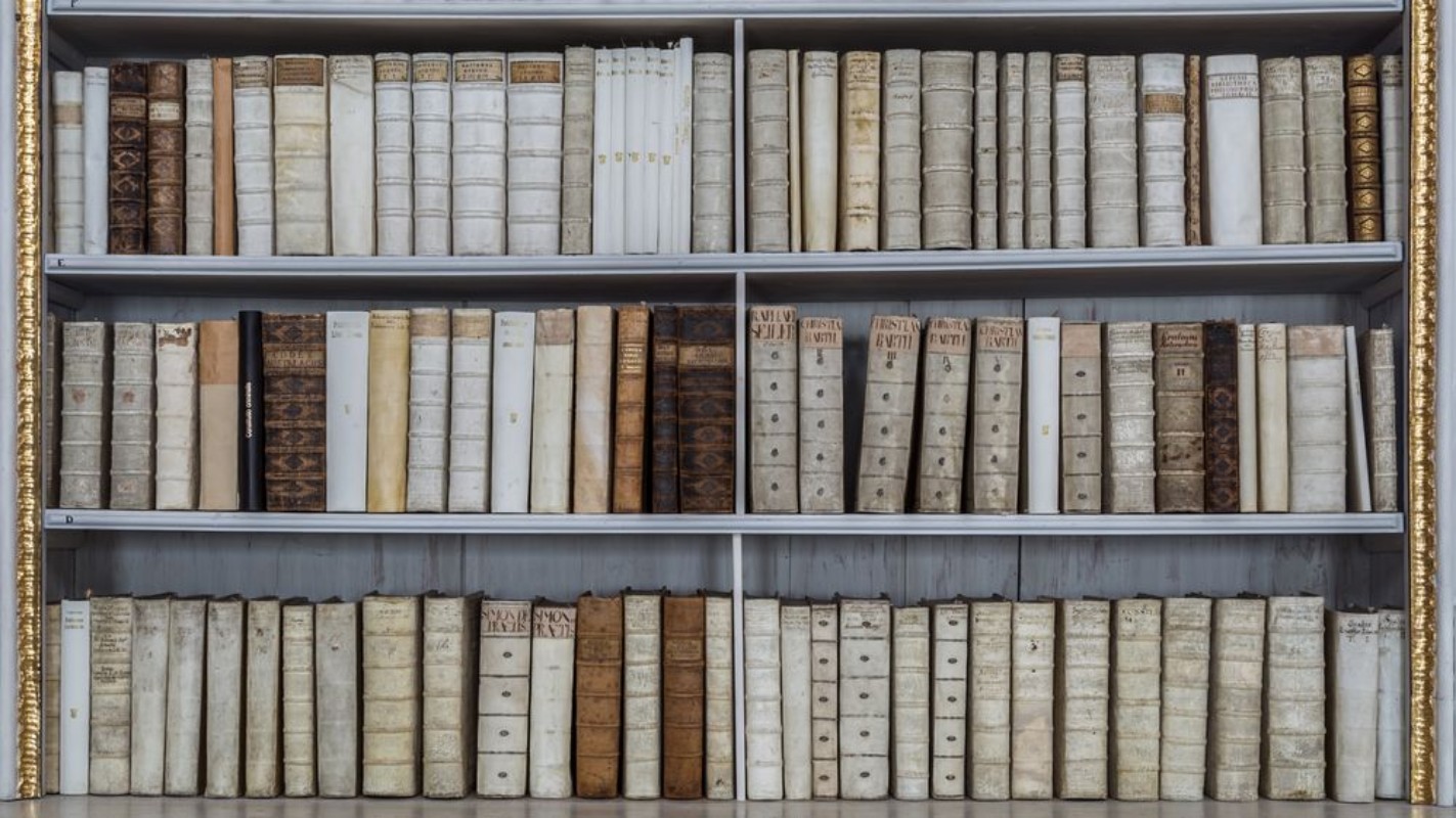 Afbeeldingen van Das Buchregal