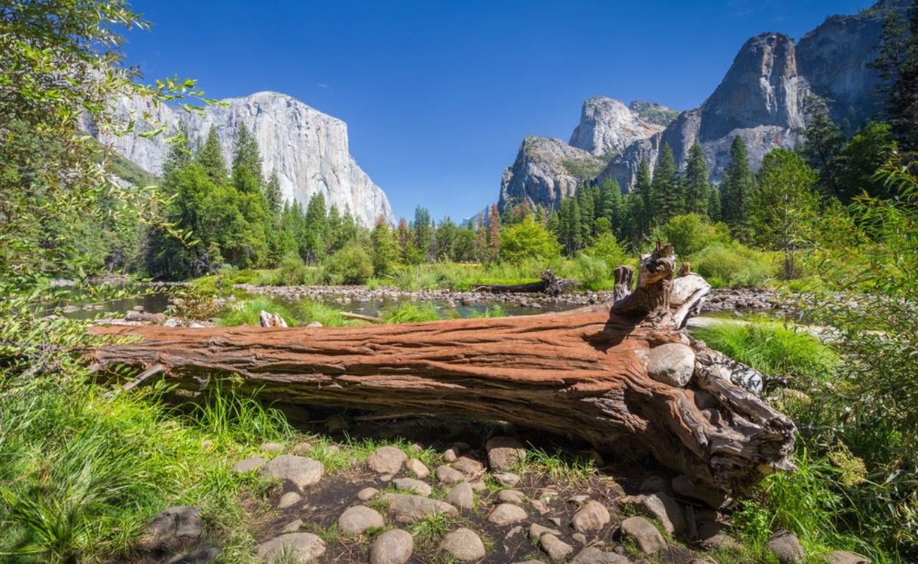 Picture of Yosemite National Park in summer California USA