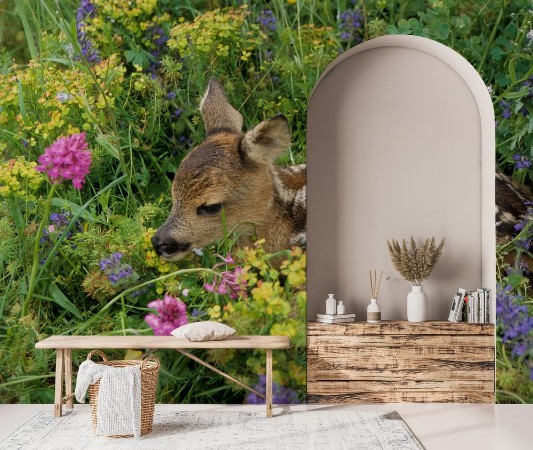 Picture of Capreolus capreolus  Chevreuil