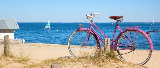 Bild von Vlo rose devant la plage