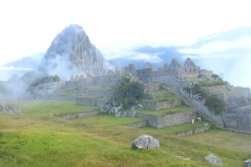 Afbeeldingen van 142175475