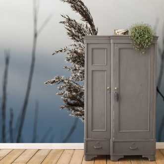 Image de One glowing reed flower