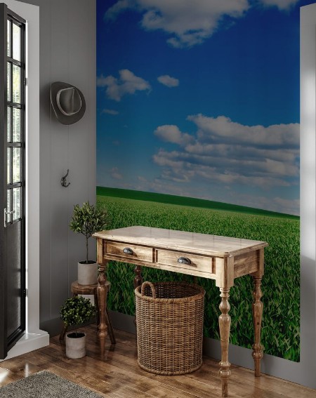 Picture of Image of green grass field and bright blue sky