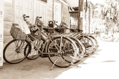 Picture of A vintage bicycle with a flower