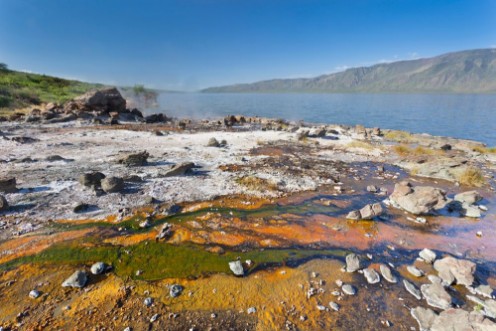 Afbeeldingen van Algae at Lake Bogoria Kenya