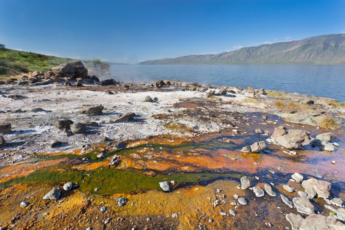 Image de Algae at Lake Bogoria Kenya