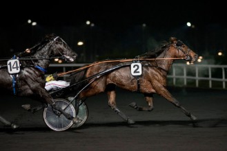 Εικόνα της Course de trot attel 