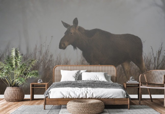 Picture of O we mgle  w wiosennym mglistym poranku na dzikich kach Dolnej Doliny Pilicy