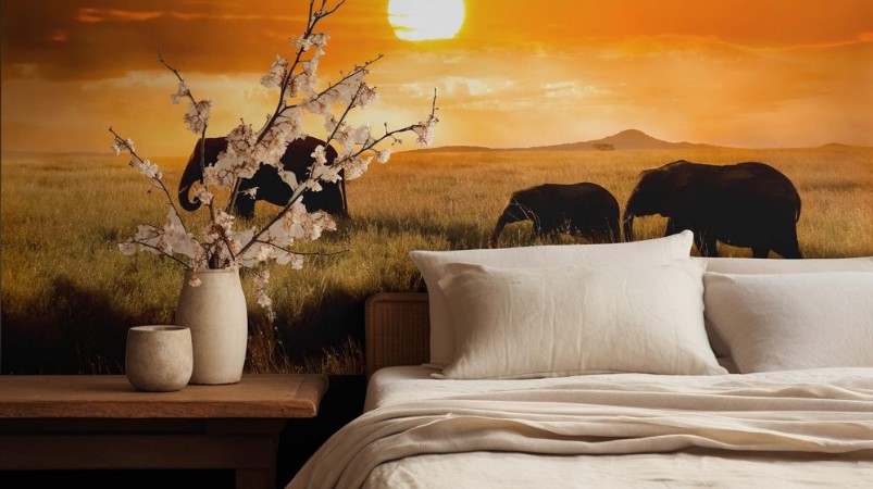 Afbeeldingen van Family of elephants at sunset in the national park of Africa