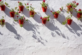 Image de Streets corners and details of marbellaSpain