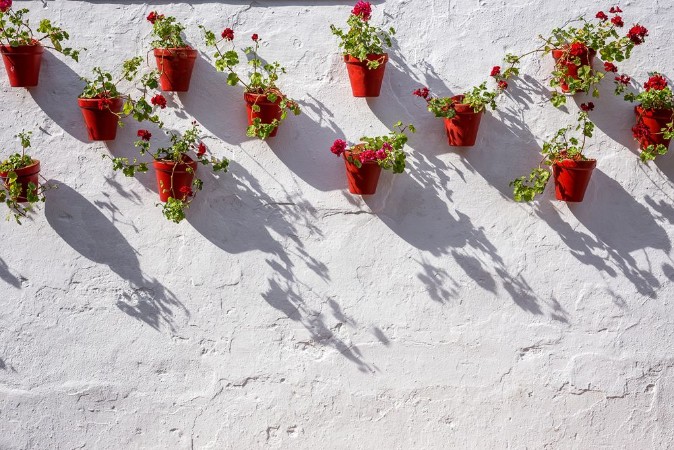 Picture of Streets corners and details of marbellaSpain