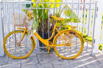 Picture of Vintage Bicycle on summer