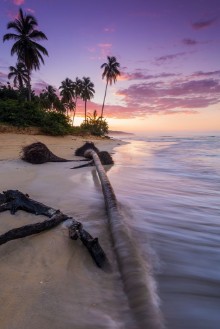 Picture of Beautiful sunset at a tropical beach