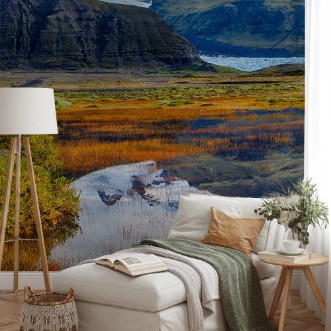 Picture of Svinafellsjokull glacier in Iceland