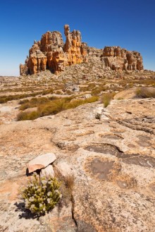 Picture of Desert scenery in Cederberg Wilderness South Africa
