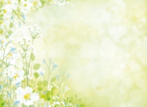 Slika Vector spring floral background