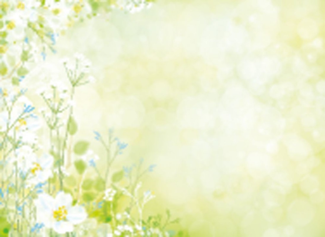 Picture of Vector spring floral background