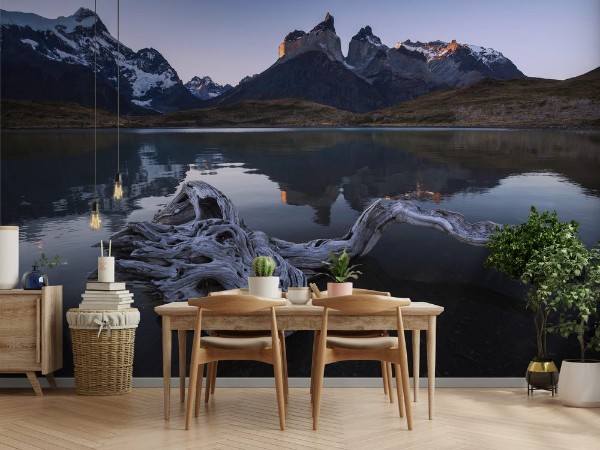 Picture of Pehoe lake Torres del Paine National Park Chile