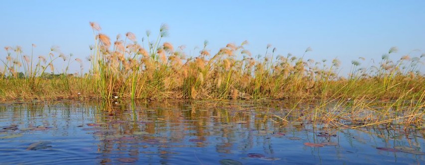 Image de Okavango Delta
