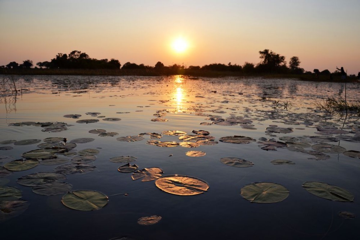Image de Lac au Botswana